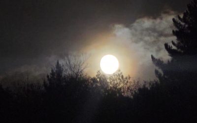 El cuerpo de la noche