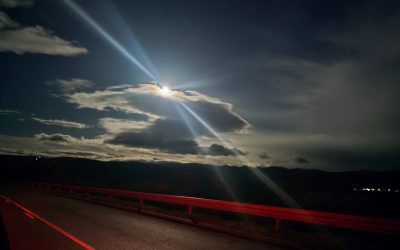 Don Delillo y la claridad del pánico