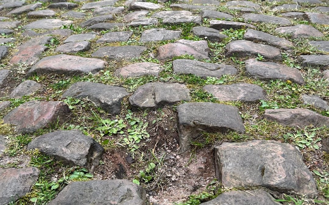 Ontología del Adoquín: La redención a través del calvario