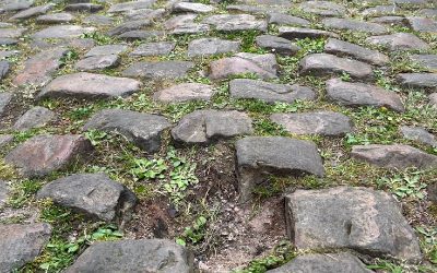 Ontología del Adoquín: La redención a través del calvario