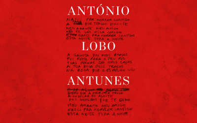 Interrupciones del continuo IX