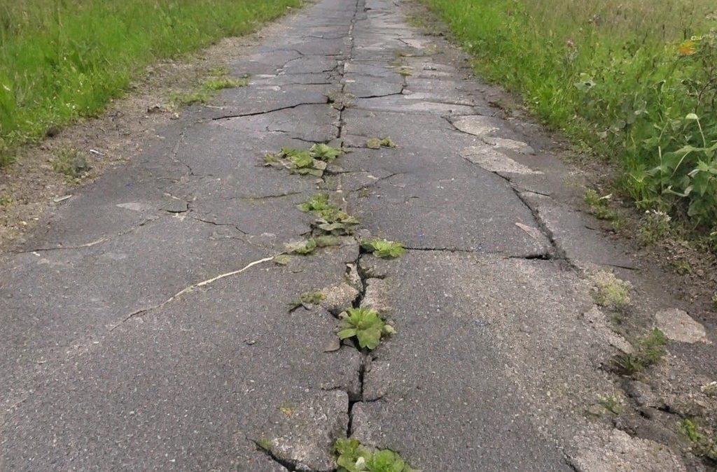 La soledad del pedal